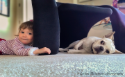 Avery and Lolita - Gordon Thenemann