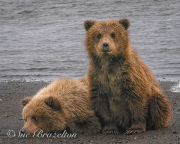 Waiting for Momma - Susan Brazelton