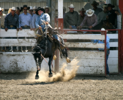 16_Rodeo_9506-R1-copy