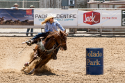 Barrel Racer