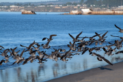 Aptos Beach