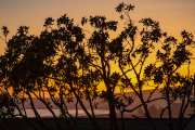 Sunset Bodega Bay