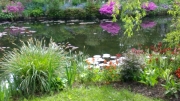 Monets-Garden-at-Giverny-_-by-Anne-Rosenzweig