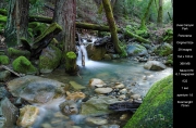 Uvas Canyon Park