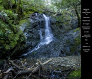 Uvas Canyon Park